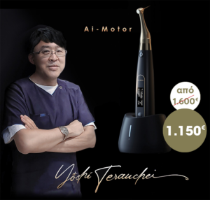 WOODPECKER Ai-MOTOR TERAUCHI